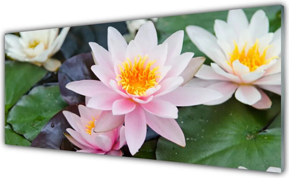 Szkło nad Blatem Nowoczesny Dekor Kwiatowy