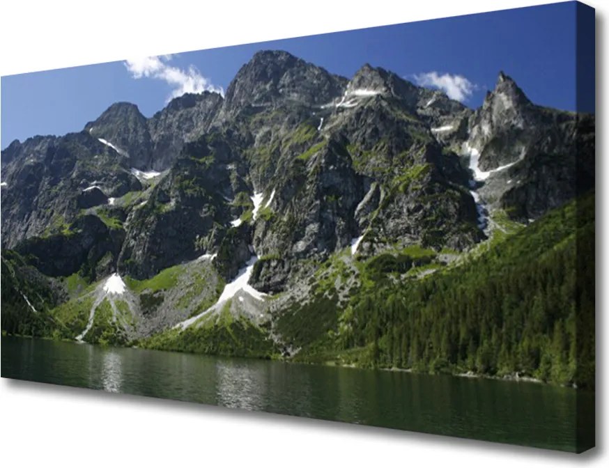 Zdjęcie na płótnie Panorama Alpejskiej Natury