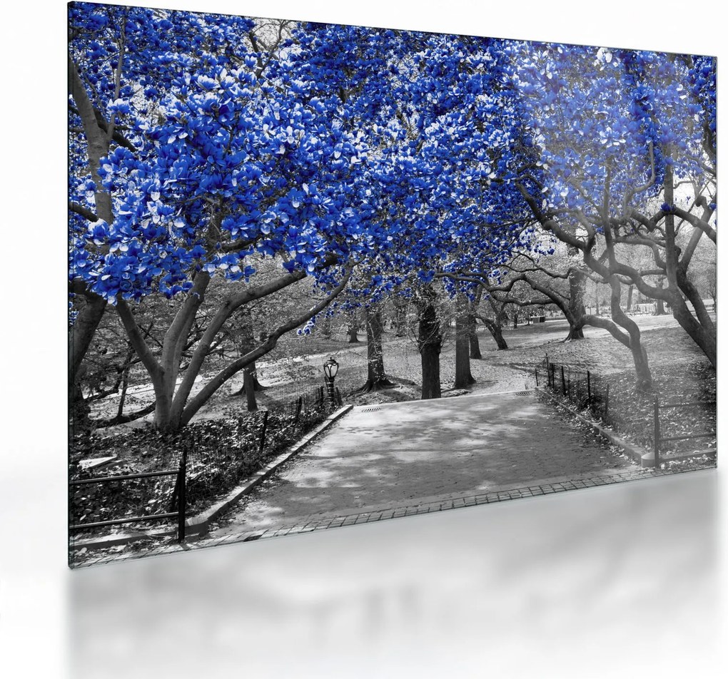 Obraz na szkle - Niebieskie drzewa, Central Park, New York (70x50 cm)