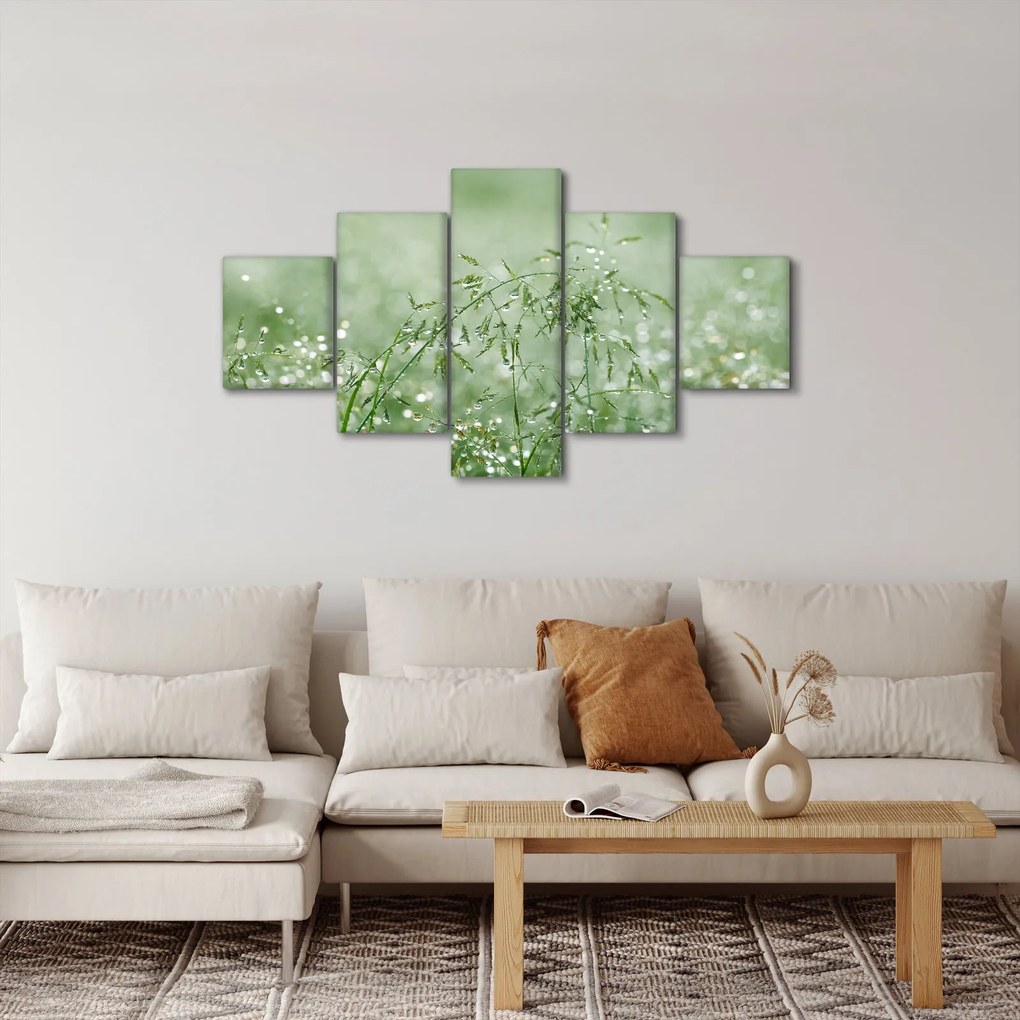 Obraz - Poranna rosa na źdźbłach trawy (125x70 cm)