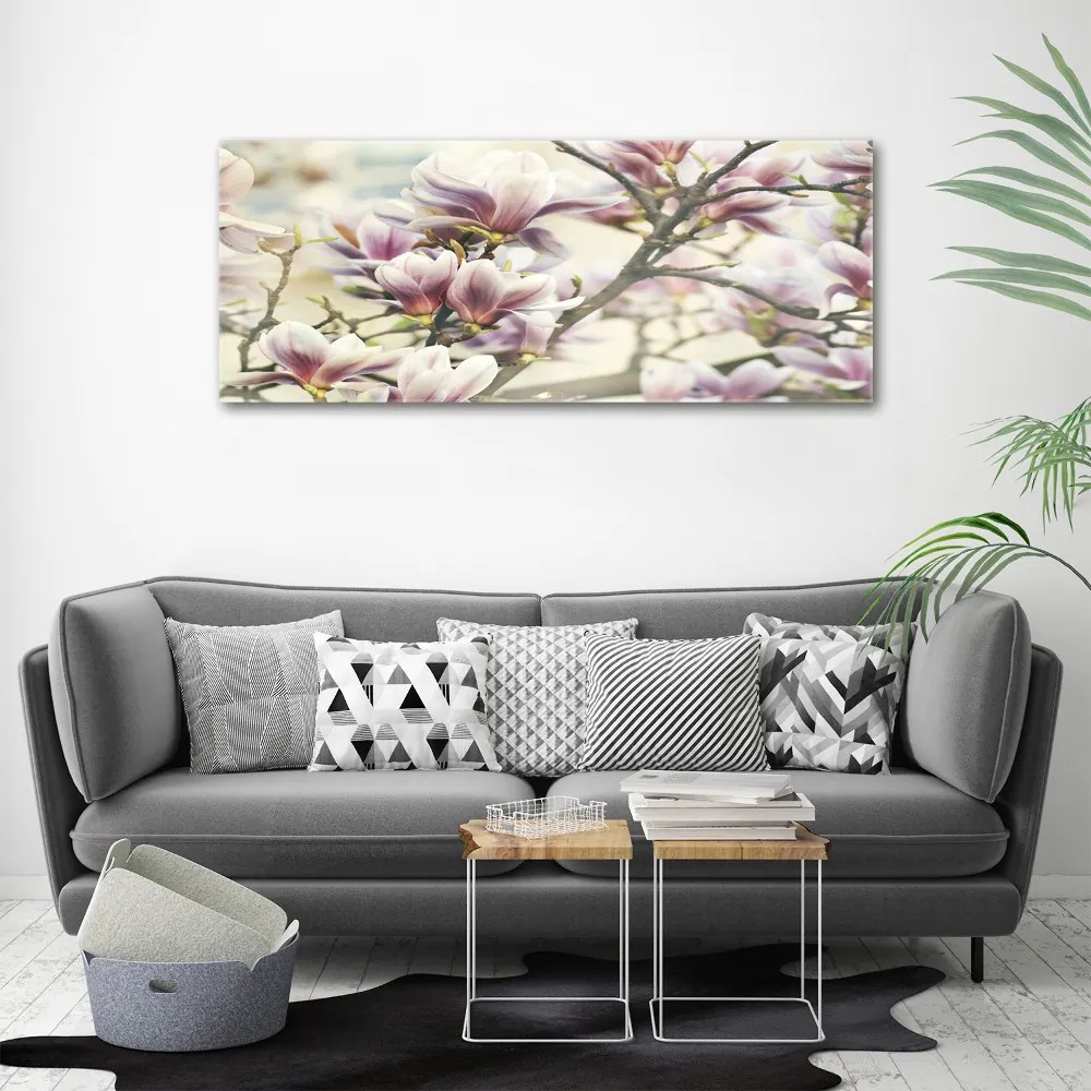 Foto obraz canvas Magnolia