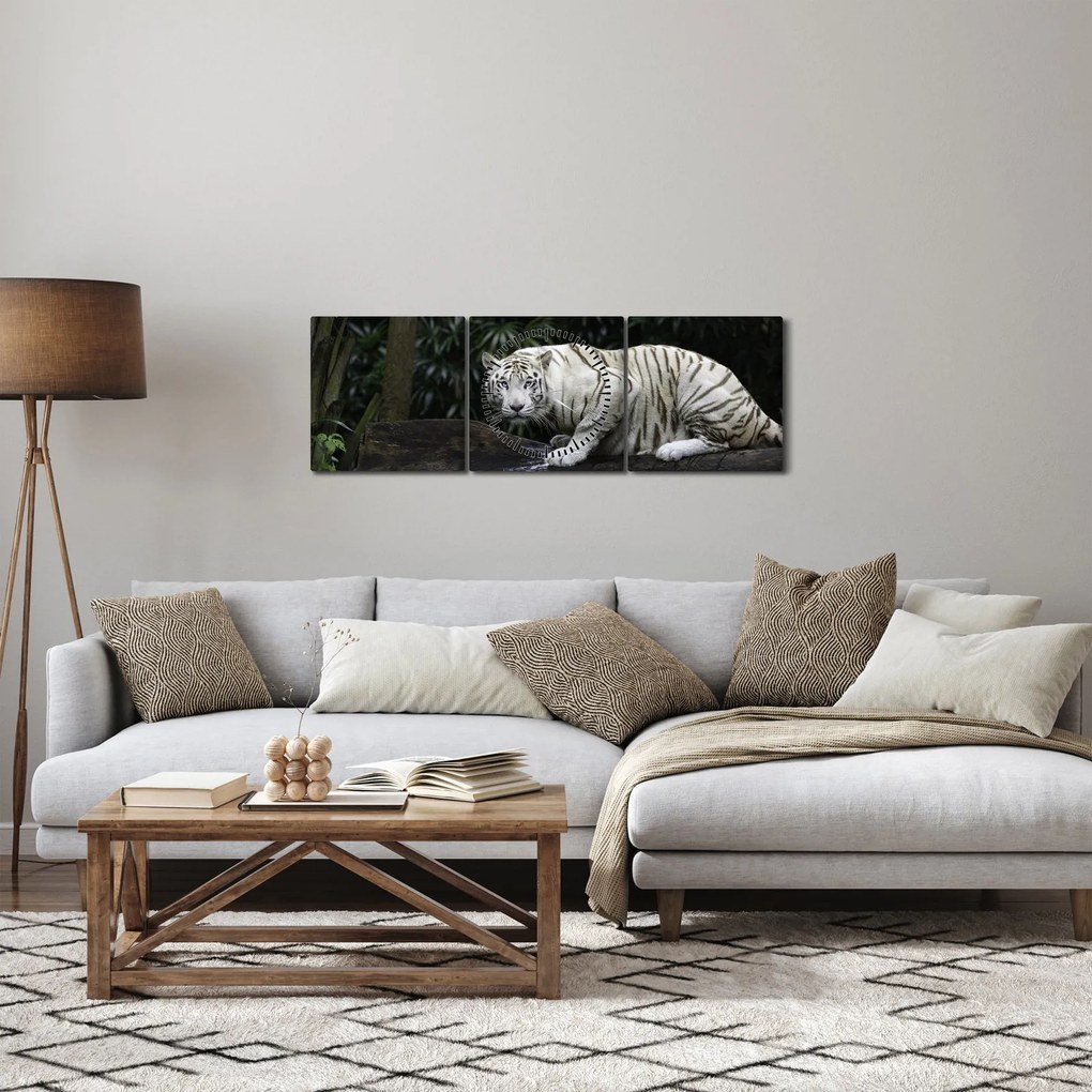 Obraz - Tygrys albinos (z zegarem) (90x30 cm)