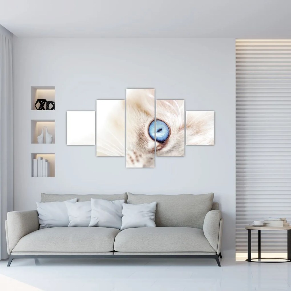 Obraz - Kotek (125x70 cm)