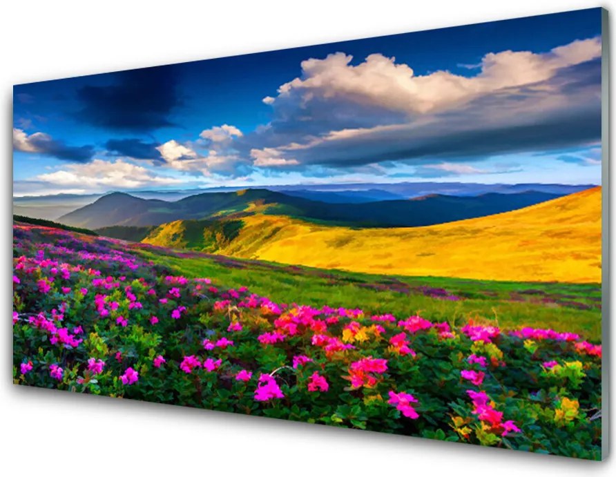 Panel Kuchenny Malownicza Łąka Kwiatowa