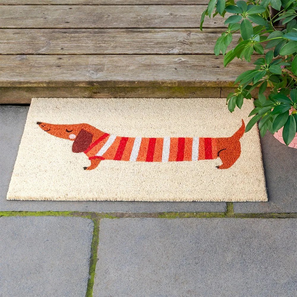 Wycieraczka z włókna kokosowego 43x73 cm Sausage Dog – Rex London