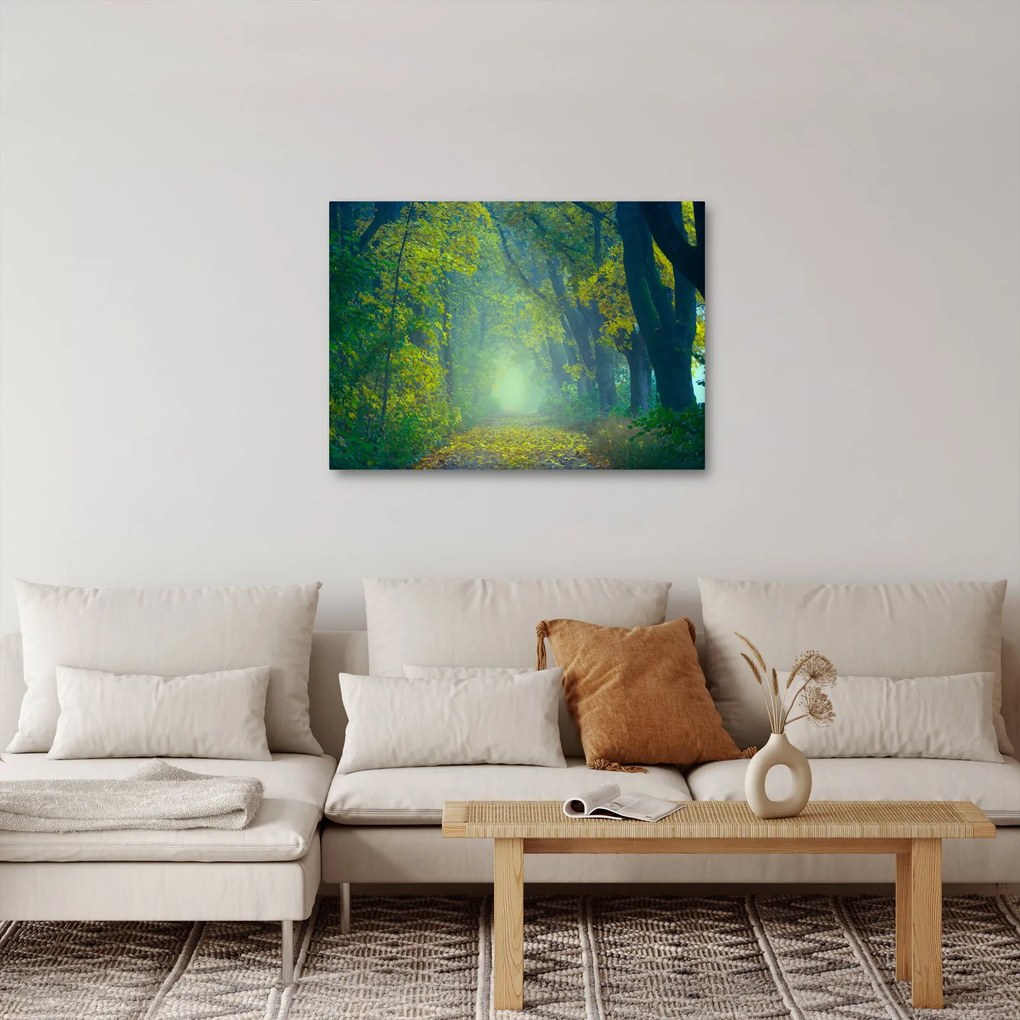 Obraz drogi wysadzanej drzewami (70x50 cm)