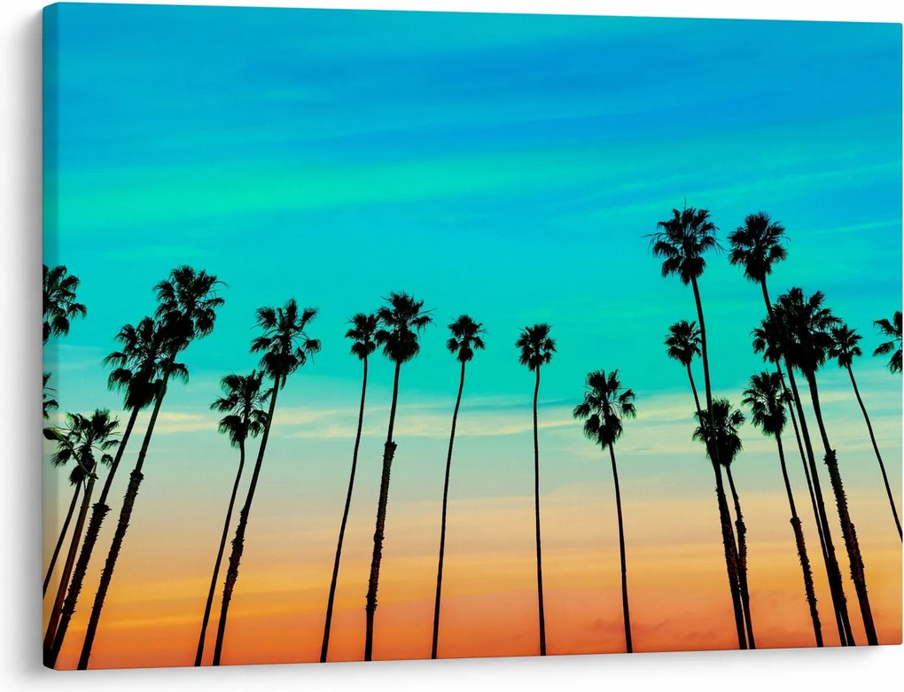 Obraz - Kalifornia (70x50 cm)