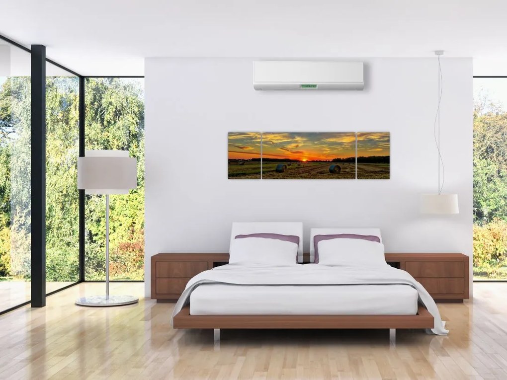 Obraz - Wiejskie bale (170x50 cm)