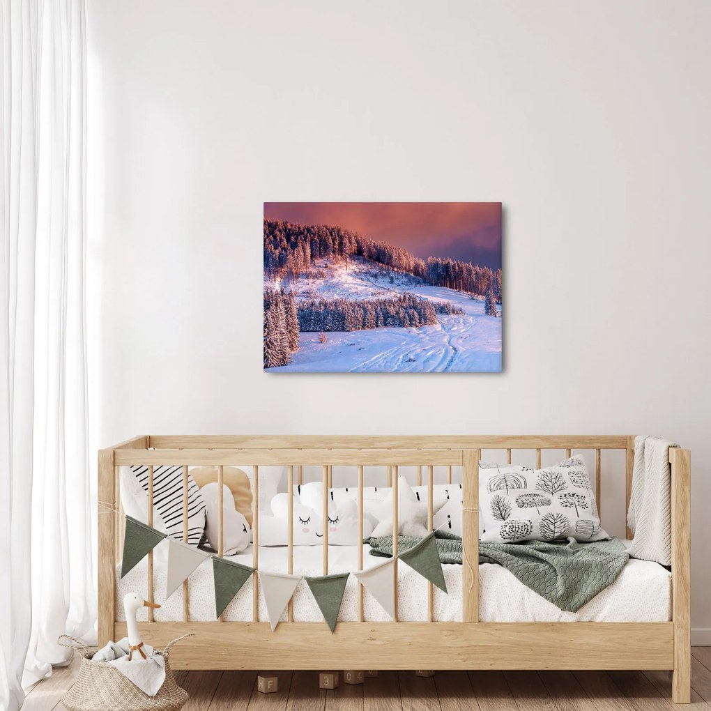 Obraz zimowego krajobrazu (70x50 cm)