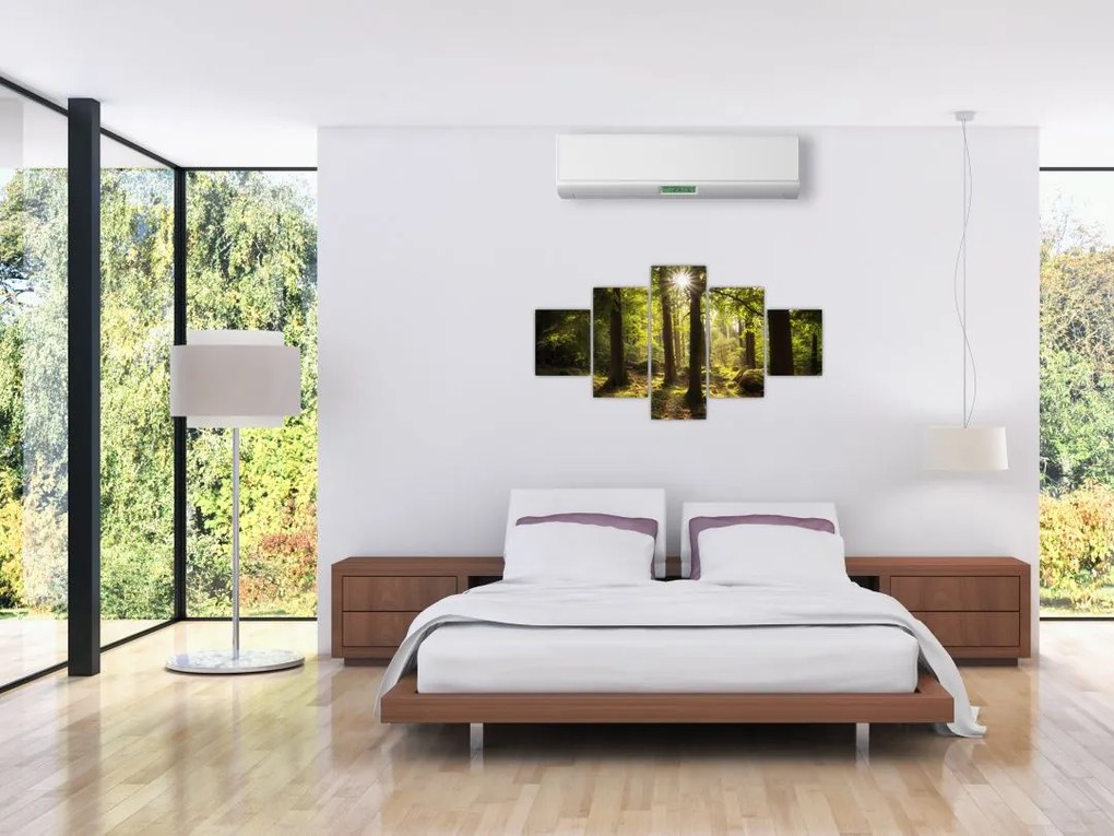 Obraz sennego lasu (125x70 cm)