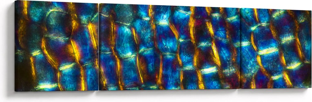 Obraz - Ściana komórkowa (170x50 cm)