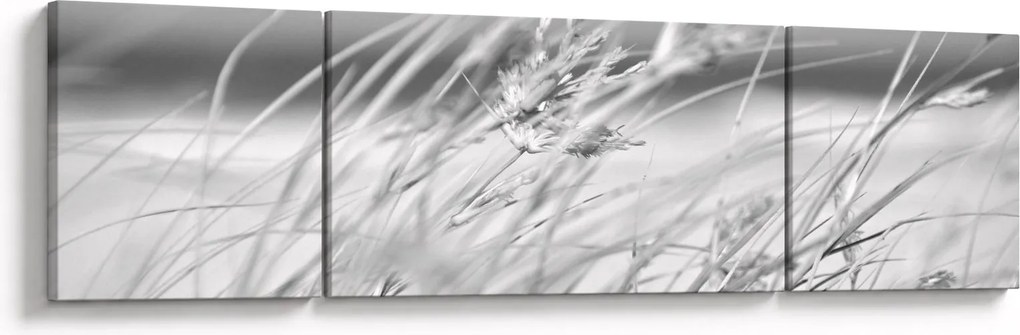 Obraz - Trawa plażowa (170x50 cm)