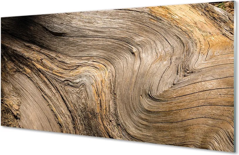 Szklany Panel Organiczny Rysunek Drewna