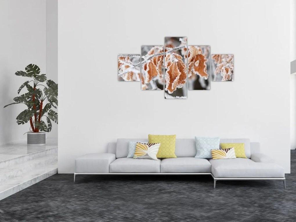 Obraz - Zamarznięte liście (125x70 cm)