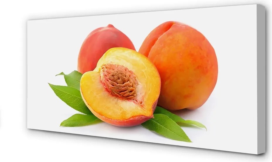 Zdjęcie na płótnie Złocista Słodka Morela