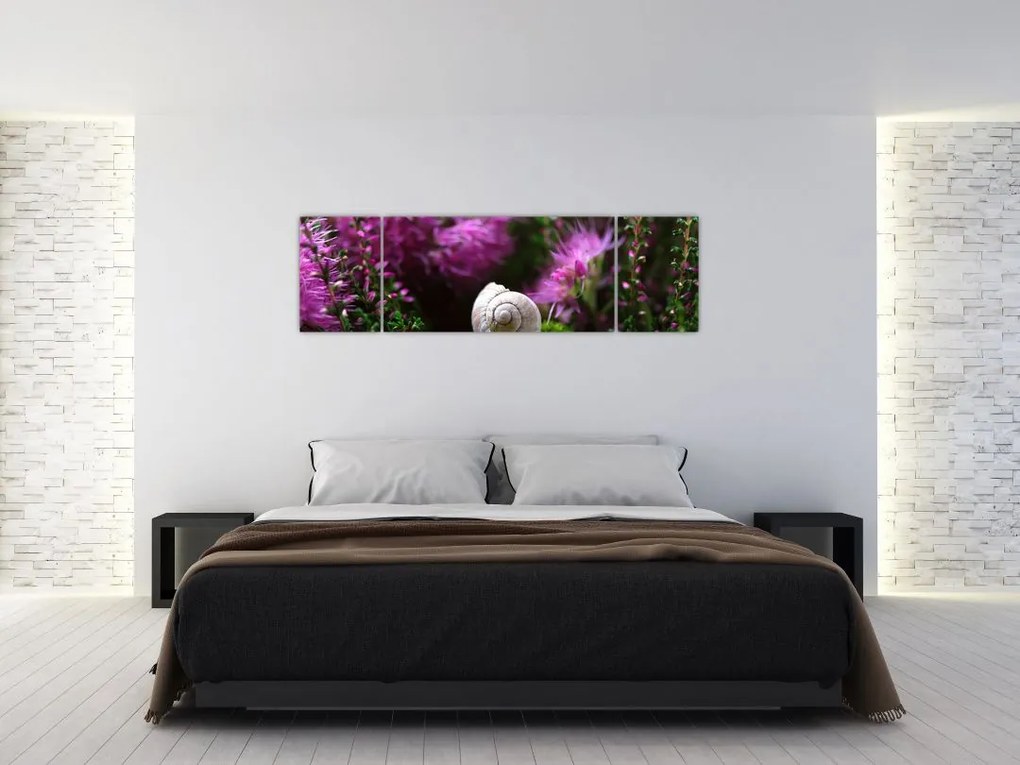 Obraz - Muszla ślimaka (170x50 cm)