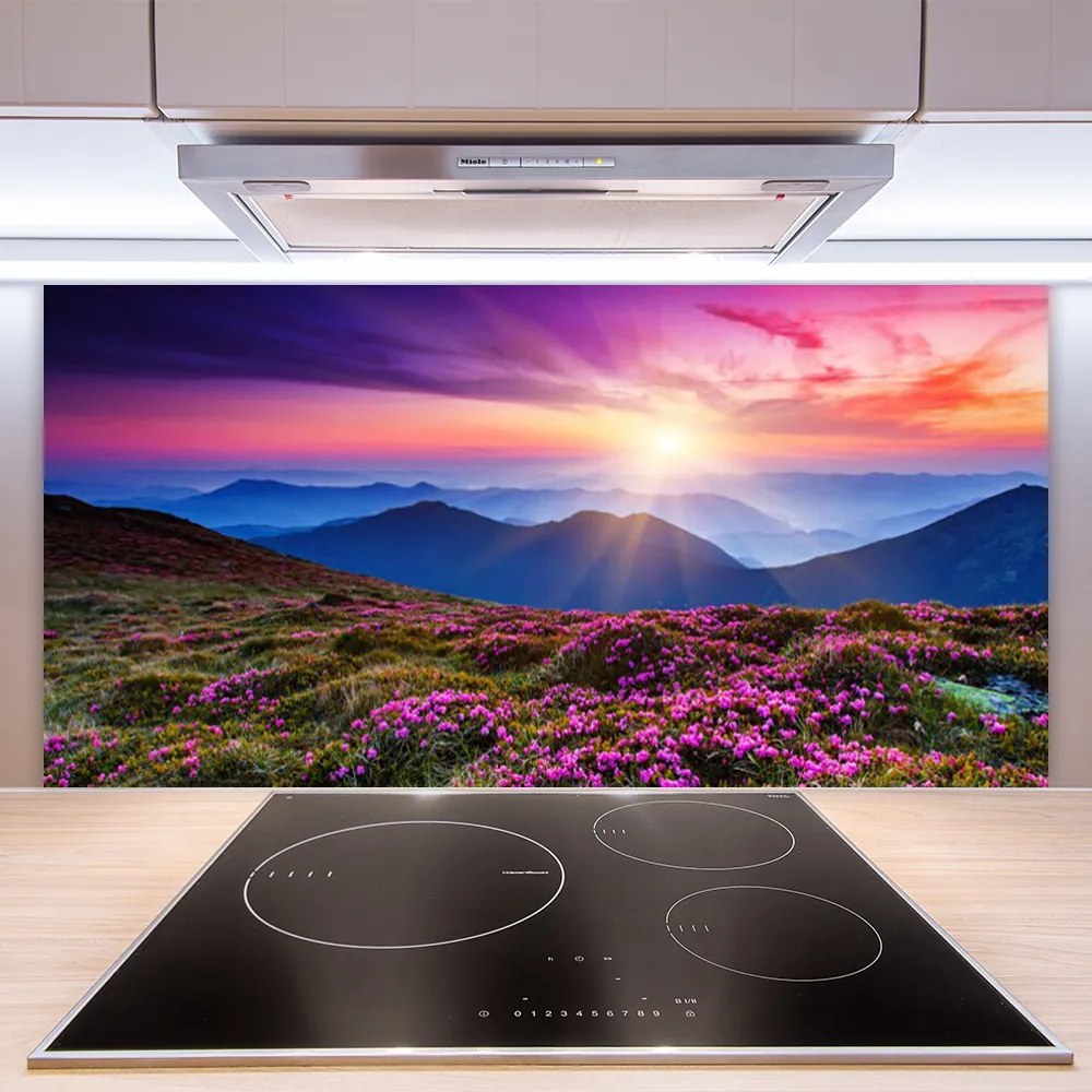 Panel Kuchenny Kwiatowa Polana W Górach