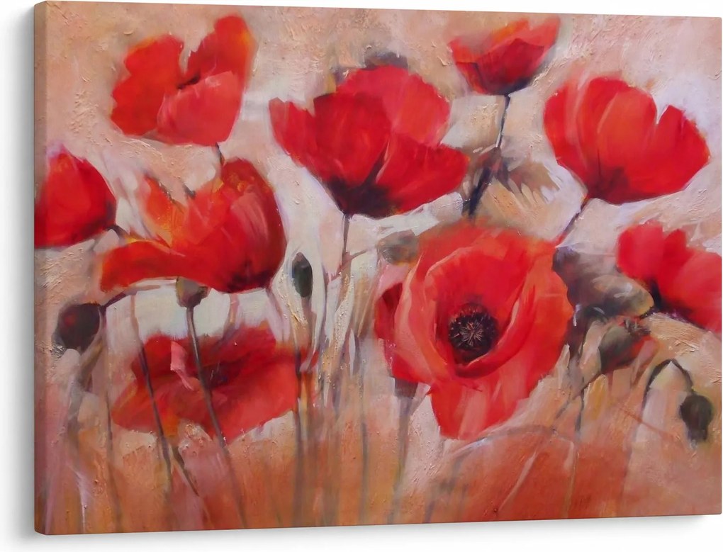 Obraz - Wilcze maki (70x50 cm)