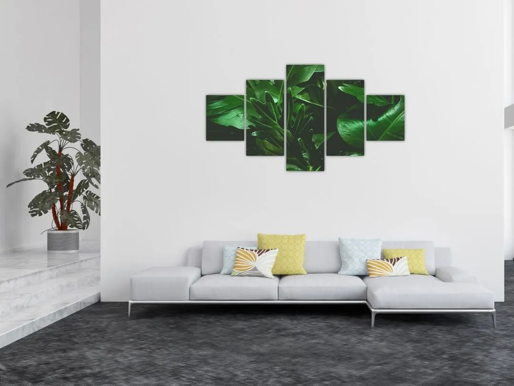 Obraz - Liście palmowe (125x70 cm)