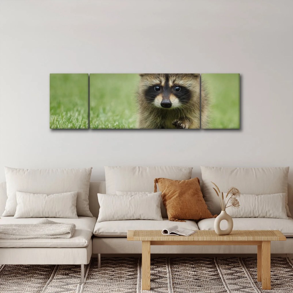 Obraz szopa pracza (170x50 cm)