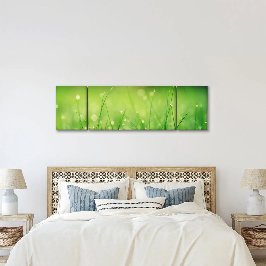 Obraz - rosa na trawie (170x50 cm)