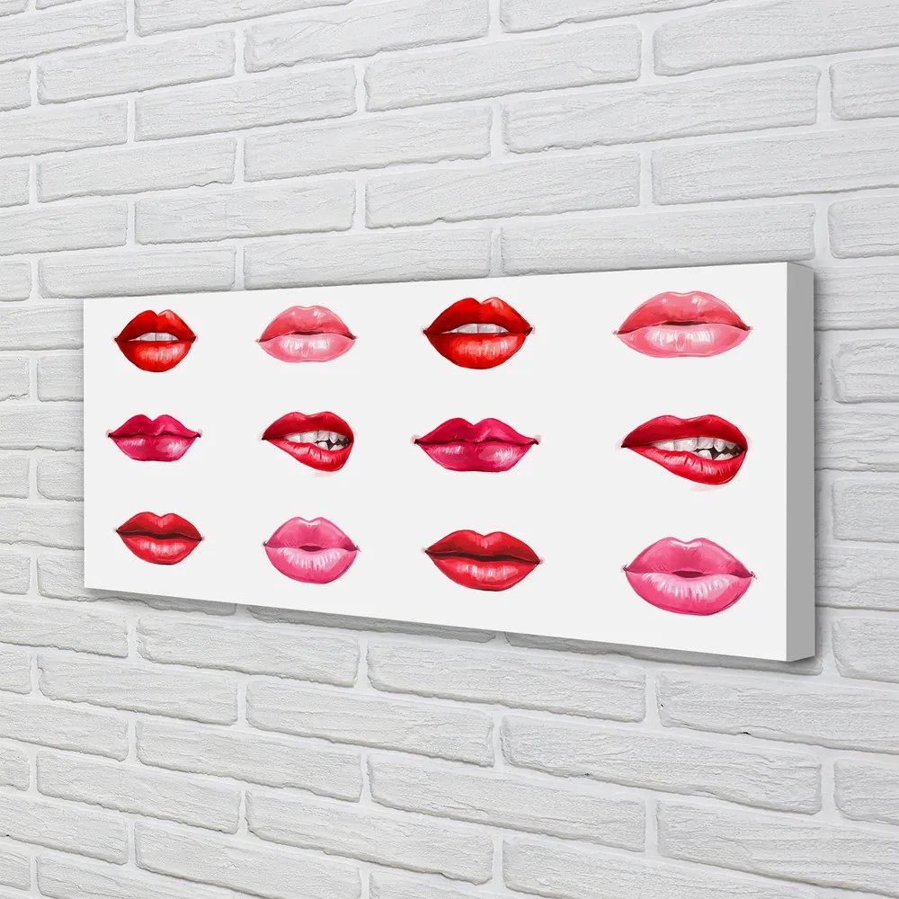 Obraz na płótnie Czerwień i Róż Ust
