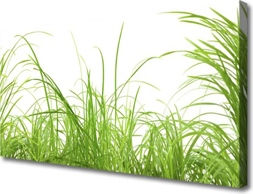 Obraz canvas Świeżość Letniej Trawy