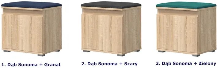 Minimalistyczna szafka na buty dąb sonoma + zielony - Ekori 3X