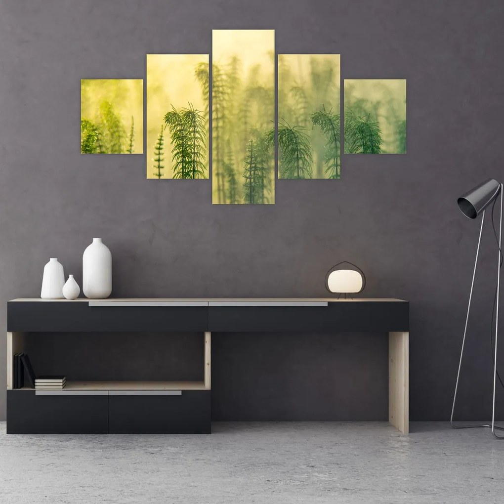 Obraz - Szczegół wiosennej mglistej przyrody (125x70 cm)