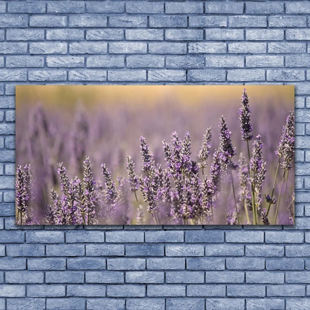 Obraz canvas Wiosenny Powiew Kwiatów