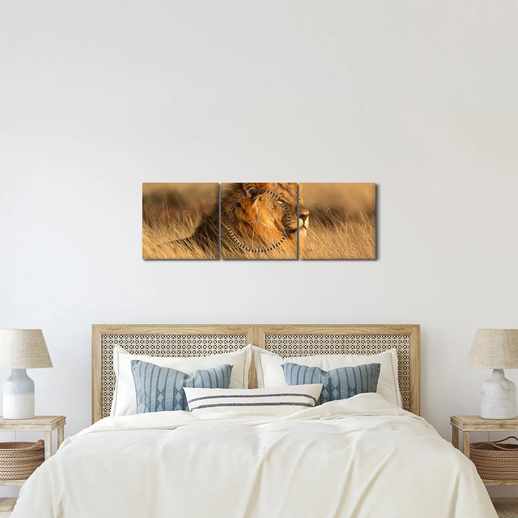 Obraz - Park Narodowy Etosha (z zegarem) (90x30 cm)