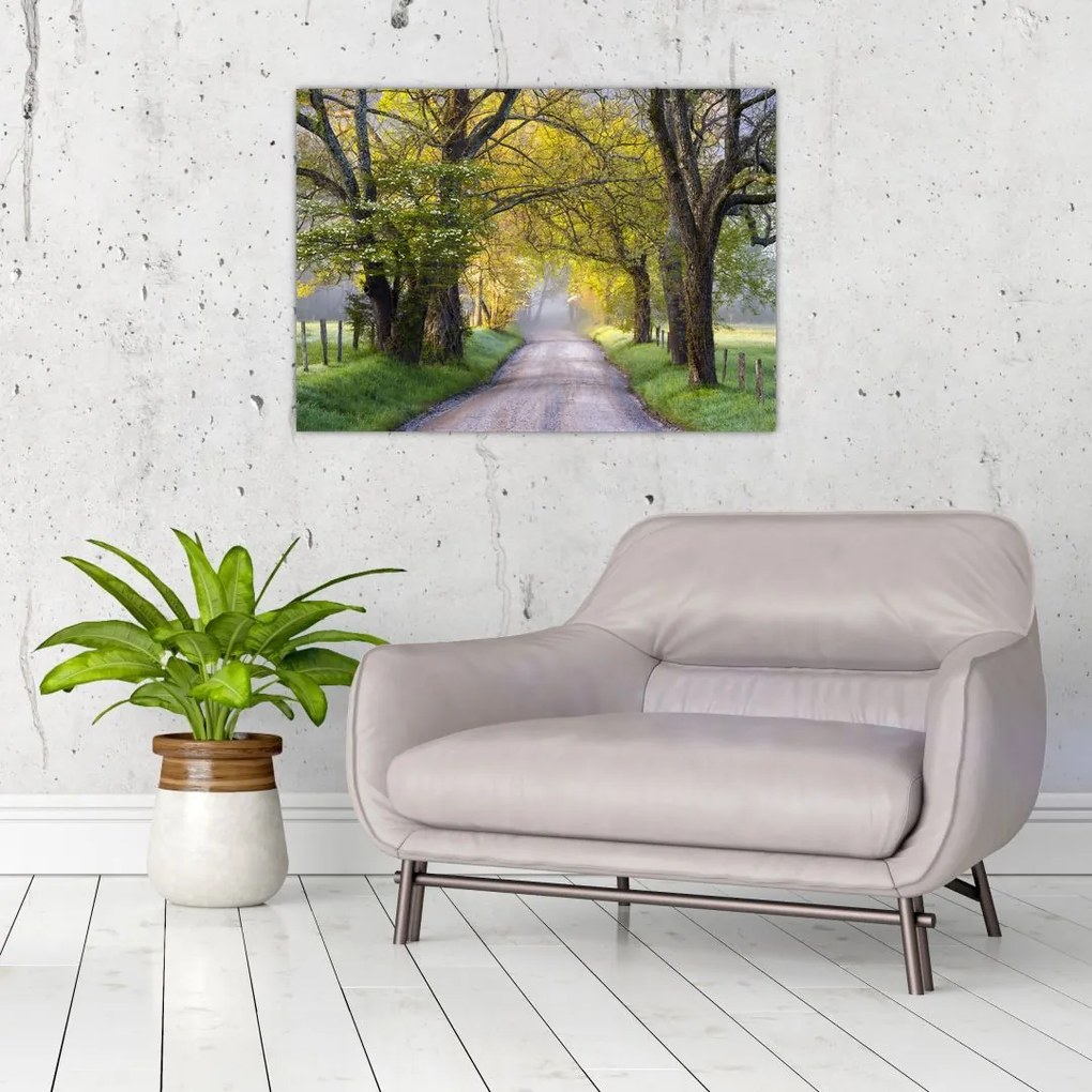 Zdjęcie - Smoky Mountains, Gatlinburg, USA (70x50 cm)
