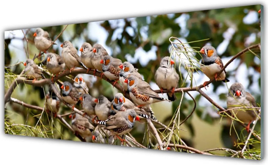 Panel Kuchenny Ptaki W Locie Nad Lasem