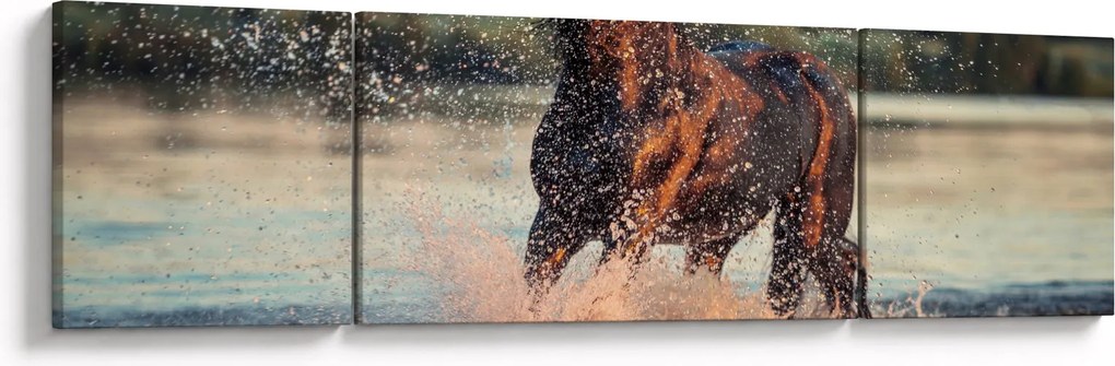Obraz - Biegnący koń (170x50 cm)