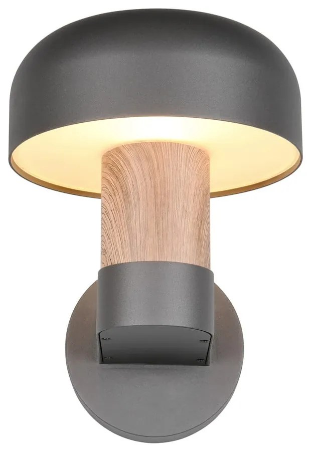 Zewnętrzna lampa ścienna (wysokość 24,5 cm) Fraser – Trio