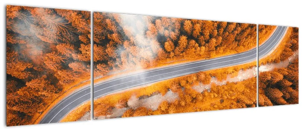 Obraz - Górska droga (170x50 cm)
