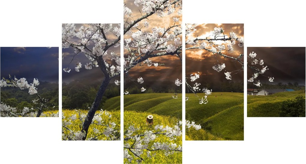 Obraz - Kwitnące drzewo w krajobrazie (125x70 cm)
