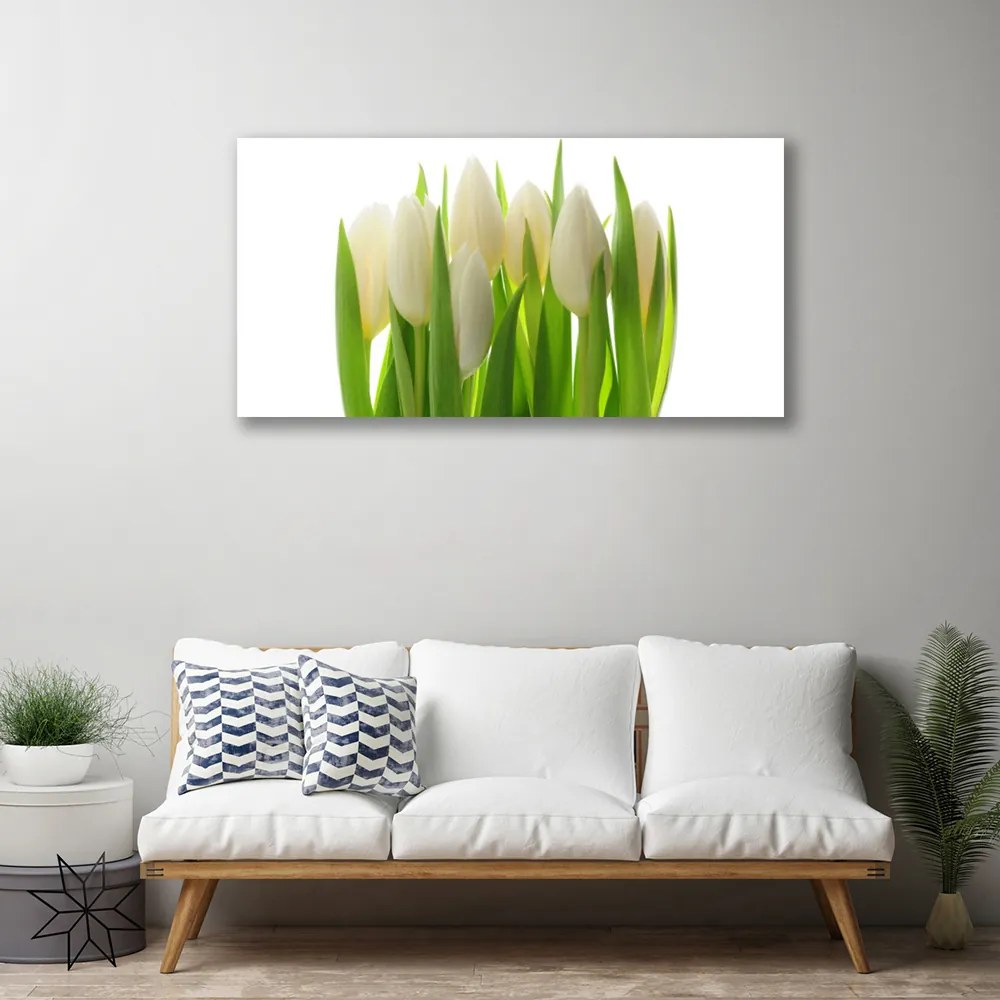 Fotoobraz na płótnie Polana Kolorowych Tulipanów