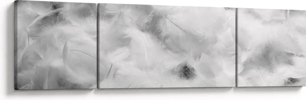 Obraz - Chmury piór (170x50 cm)