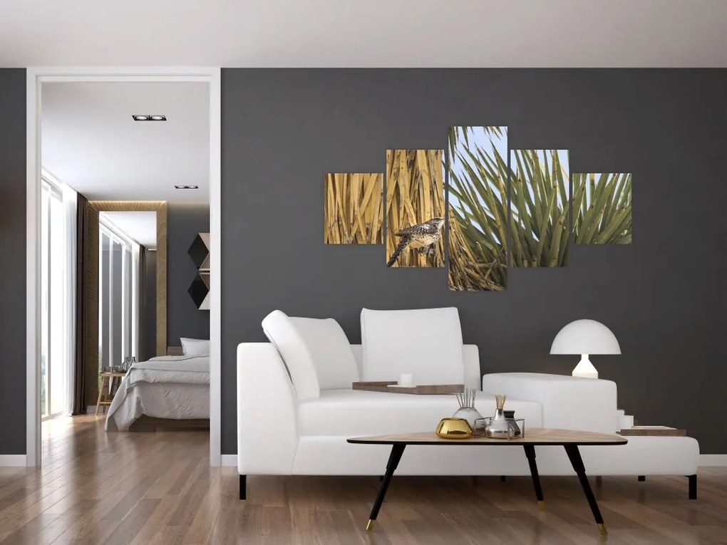 Obraz - Strzyżyk (125x70 cm)