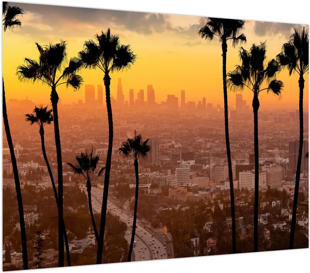 Obraz - Panorama Los Angeles (70x50 cm)