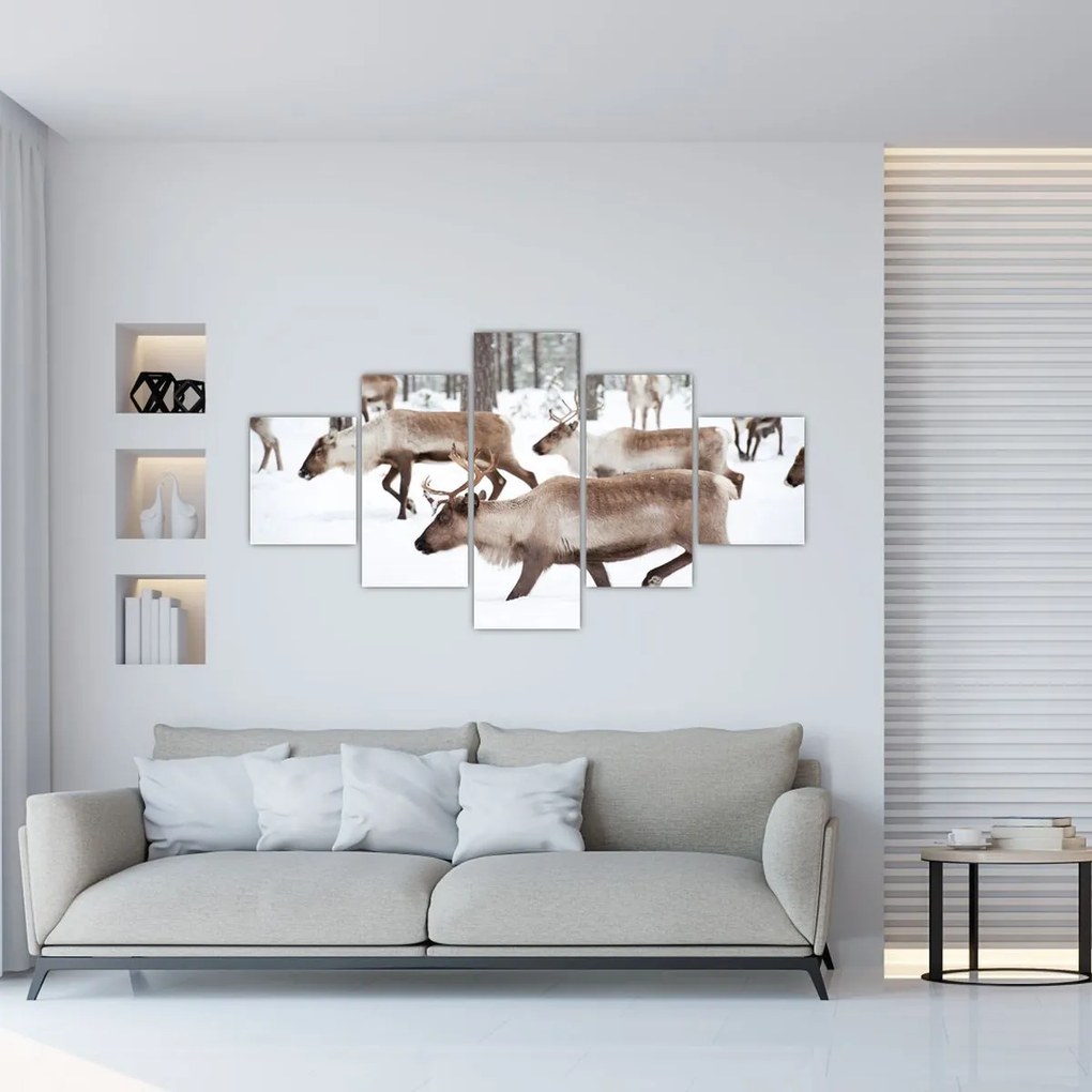 Obraz - Renifer (125x70 cm)