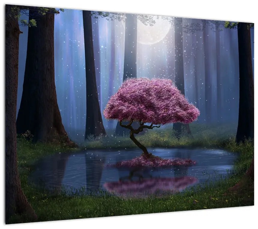 Obraz - Magiczna noc (70x50 cm)