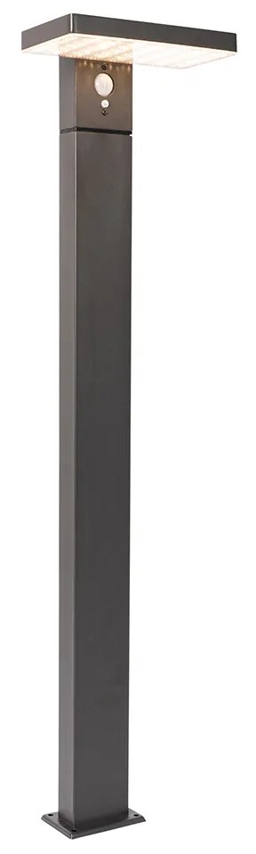 Zewnetrzna Stojąca lampa ogrodowa ciemnoszara 80 cm z wbudowanym LED i ściemniaczem na energię słoneczną - Sunnie Nowoczesny Oswietlenie zewnetrzne