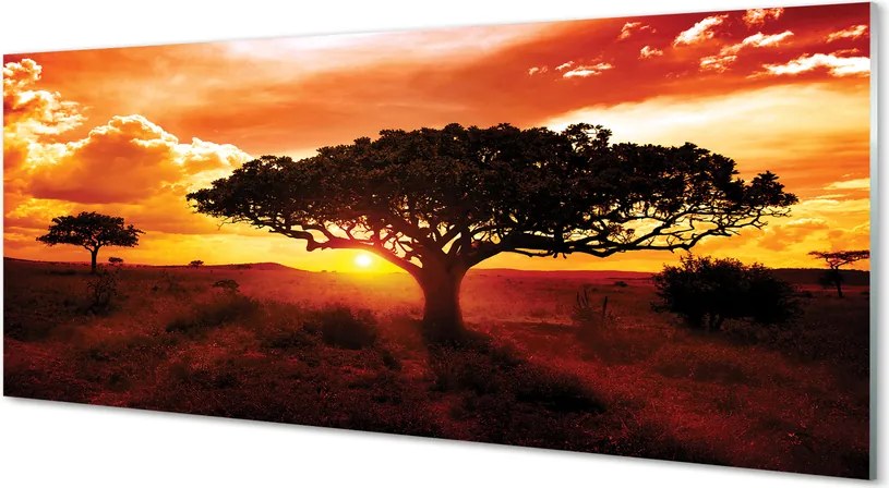 Panel szklany do Kuchni Drzewa pod Wieczornym Niebem