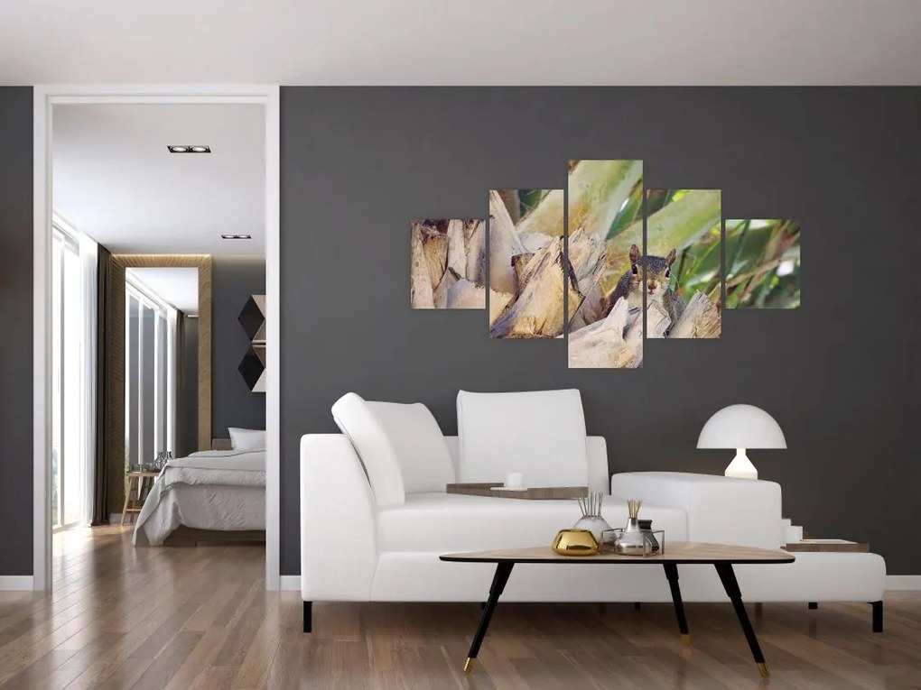 Obraz wiewiórki na drzewie (125x70 cm)