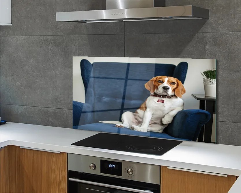 Panel Kuchenny Szklany Spokojny Siedzący Pupil