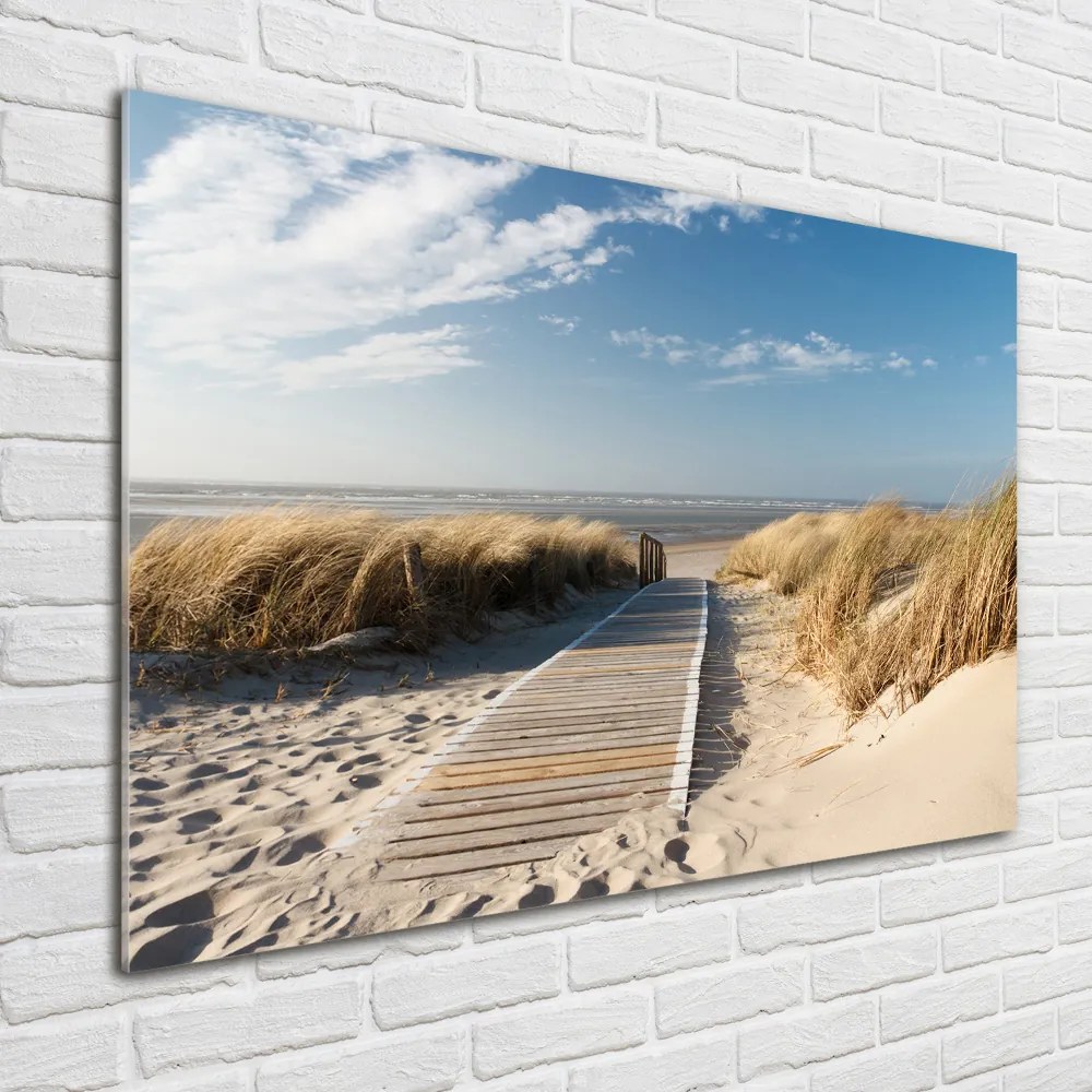 Foto obraz szklany Ścieżka na plaży