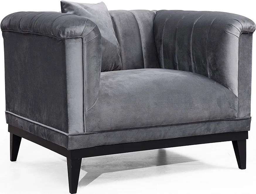 Nowoczesny fotel uszak – 105 x 79 x 89 cm – ciemnoszary – drewno bukowe