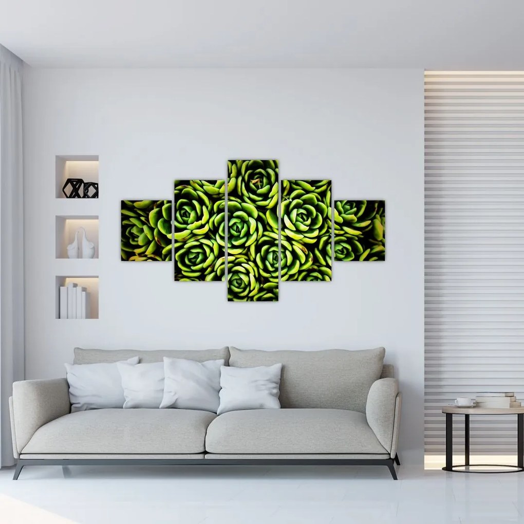 Obraz bez grzywki (125x70 cm)